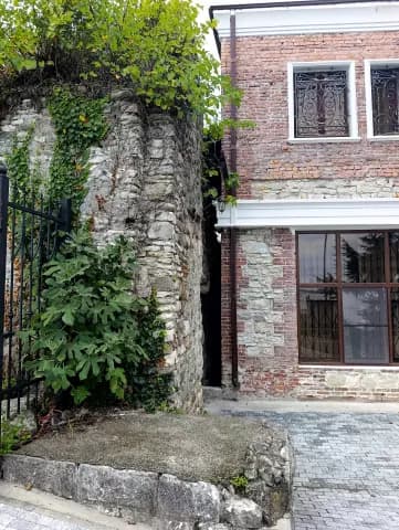 Диоскуриада