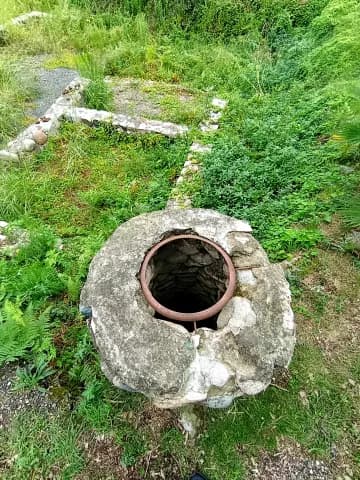 Диоскуриада