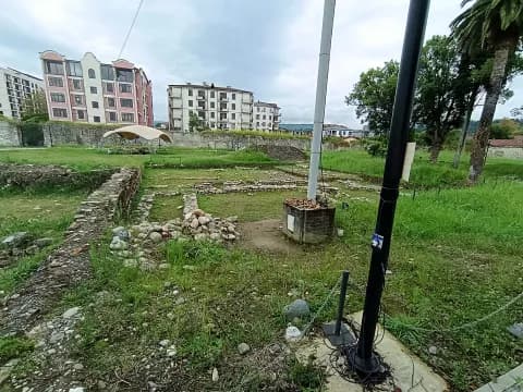 Диоскуриада