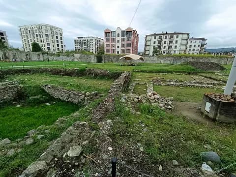 Диоскуриада