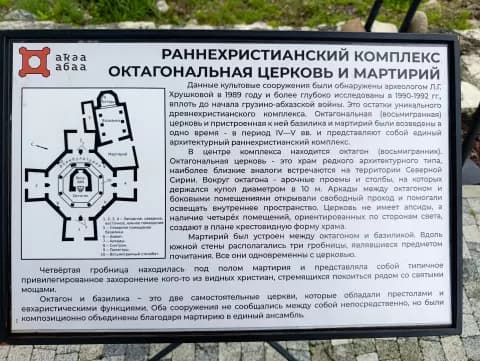 Диоскуриада