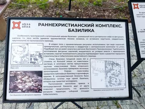 Диоскуриада