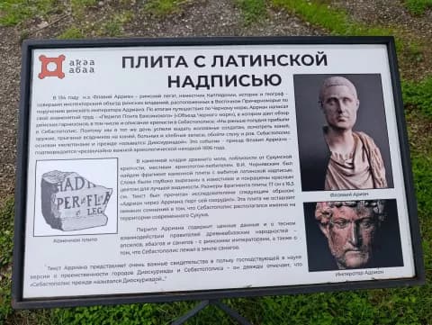 Диоскуриада