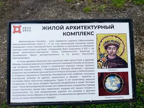 Диоскуриада