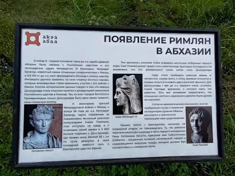 Диоскуриада