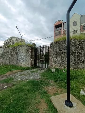 Диоскуриада