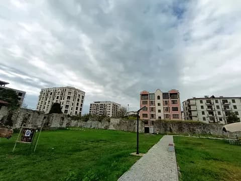 Диоскуриада