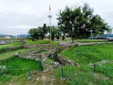 Диоскуриада