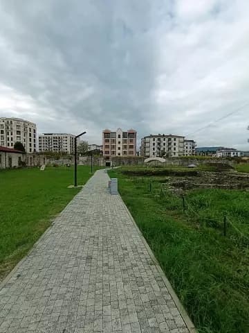 Диоскуриада