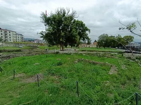 Диоскуриада