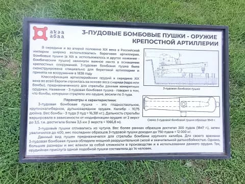 Диоскуриада