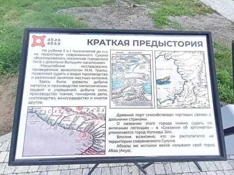 Диоскуриада