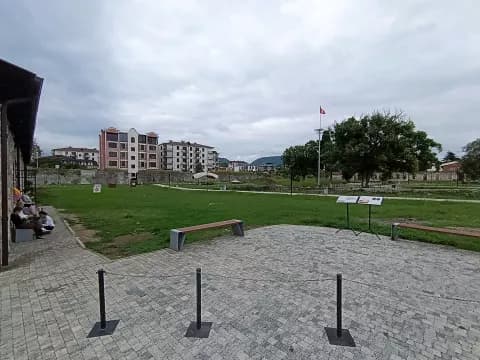 Диоскуриада