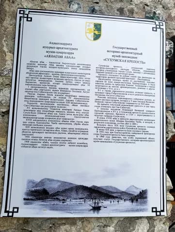 Диоскуриада