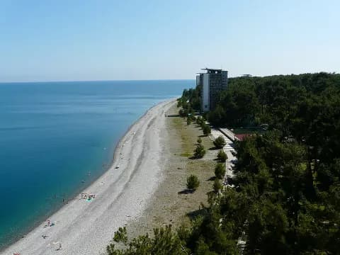 Дмитрий Иосифович Гулиа