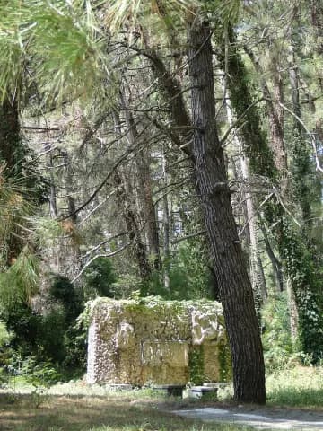 Колесо обозрения