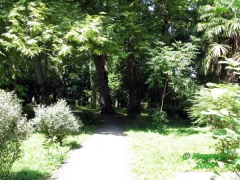 Парк Синоп