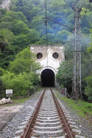 Черепаха