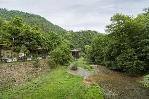 Черепаха
