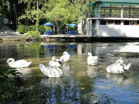 Новоафонский музей боевой славы