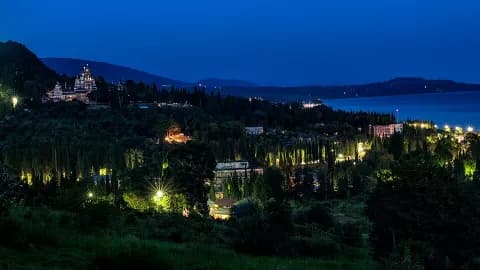 Огромный эвкалипт