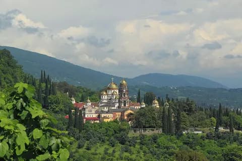 Огромный эвкалипт