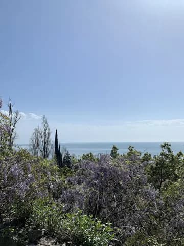 Крепость Абаата