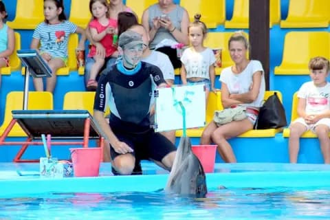 Абхазский Национальный Дельфинарий