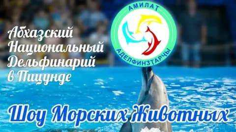 Абхазский Национальный Дельфинарий
