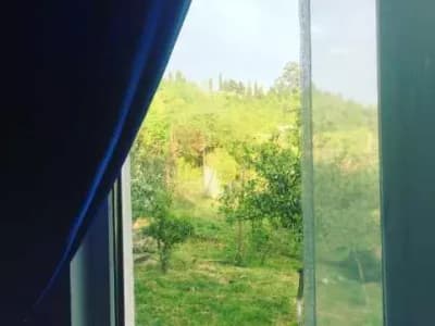 holiday-otradnoye-8
