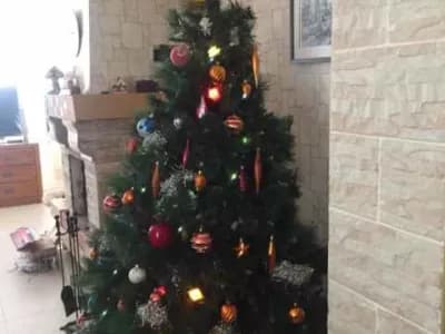 holiday-otradnoye-7