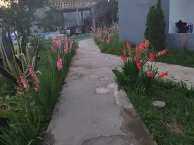7bbebea9a51f97866dd02f602790ea0e